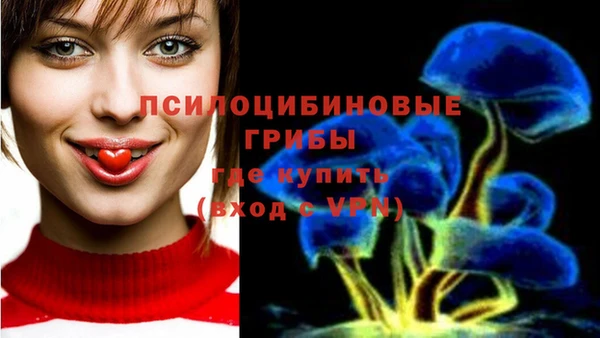 ECSTASY Осинники