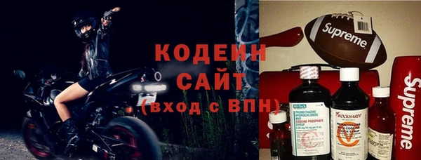гашик Алзамай