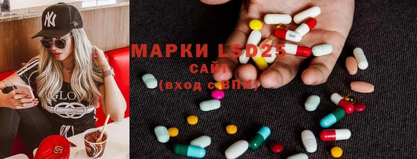 гашик Алзамай