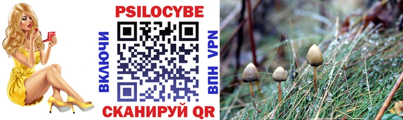 купить наркотики сайты Усть-Илимск Галлюциногенные грибы MAGIC MUSHROOMS